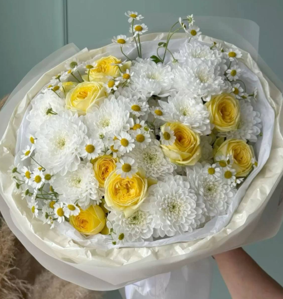 Луч Солнца